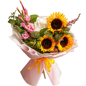 Back to School with delivery Novosibirsk