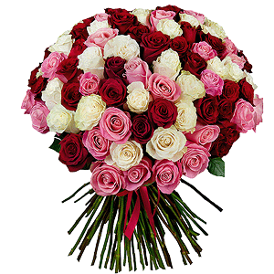 Bouquet of 101 multi-colored roses Premium Ecuador with delivery Novosibirsk