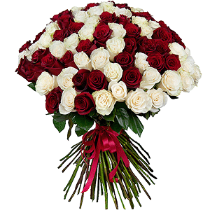 Bouquet of 101 red and white roses Ecuador Premium with delivery Novosibirsk