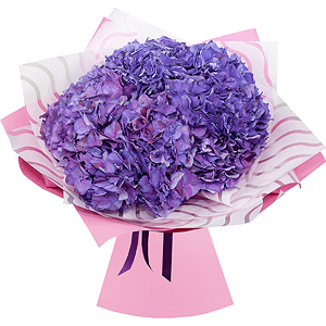Bouquet of lilac hydrangeas with delivery Novosibirsk