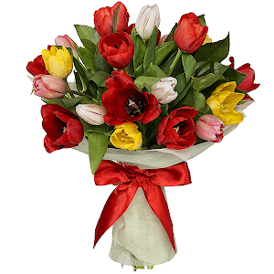 21 Tulips with delivery Novosibirsk
