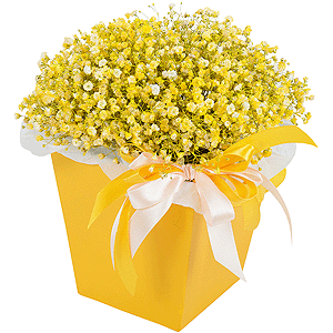 Colored gypsophila - 9, Composition Box, Oasis, Ribbon