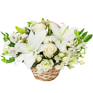 Lovebirds with delivery Novosibirsk
