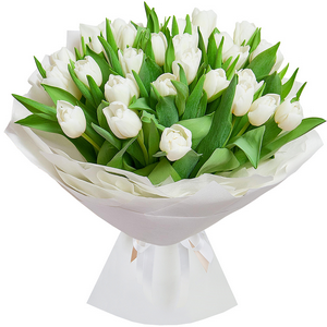 White tulips with delivery Novosibirsk
