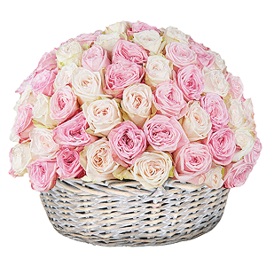 Basket of 101 peony roses with delivery Novosibirsk