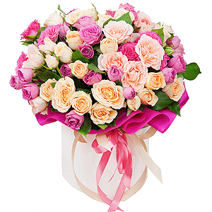 Colorful drops with delivery Novosibirsk