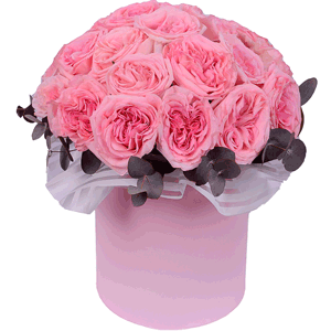 Puff Cloud with delivery Novosibirsk