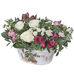 Dream with delivery Novosibirsk