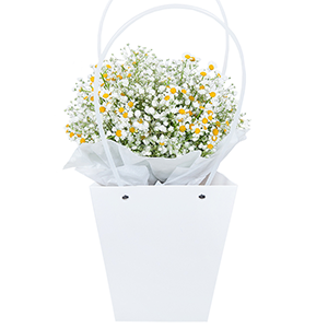 Bag with flowers with delivery Novosibirsk