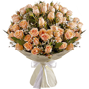 Wonderful Start VIP with delivery Novosibirsk