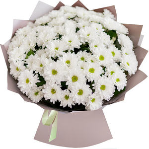 Inner light with delivery Novosibirsk