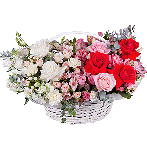 Tender touch with delivery Novosibirsk