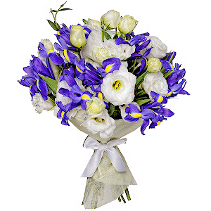Sea Motive Luxe with delivery Novosibirsk