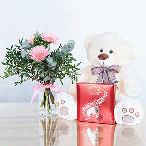 Gift set "Gerberas, teddy bear and sweets" with delivery Novosibirsk