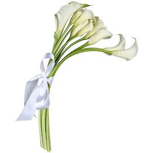 Amazing arum lilies with delivery Novosibirsk