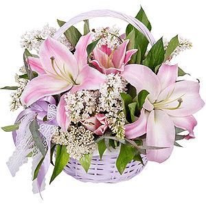 Refinement with delivery Novosibirsk