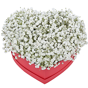 Gypsophila - 11, Heart‑shaped box for arrangements, Oasis
