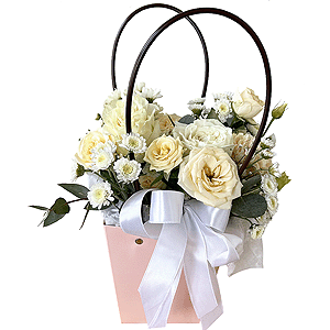 Powder tenderness with delivery Novosibirsk
