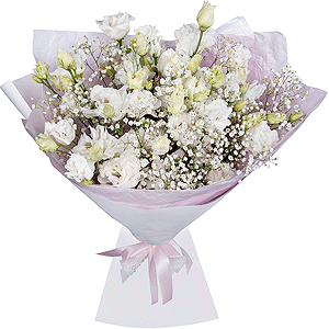 Myths of the Muses with delivery Novosibirsk