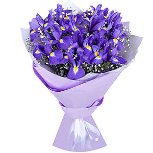 Starry Distance with delivery Novosibirsk