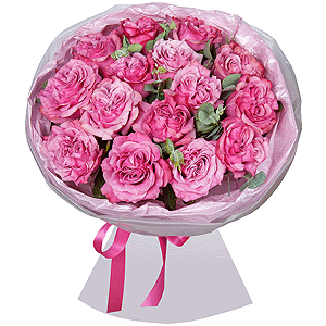 Pink rose Country Blues 50 cm - 19, Eucalyptus, Wrapping Paper