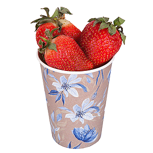Berry Delight with delivery Novosibirsk