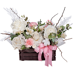 Friendship Warmth with delivery Novosibirsk