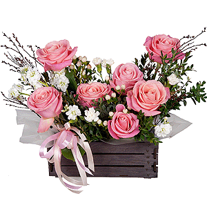 Enchanted Gift with delivery Novosibirsk