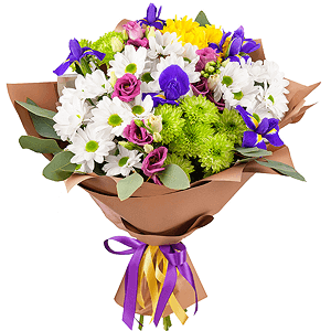 Bird of Paradise with delivery Novosibirsk