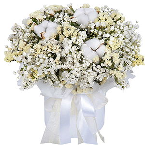 Cloud Softness with delivery Novosibirsk
