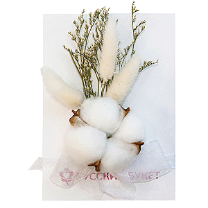 Card &ldquo;Cozy Fluff&rdquo; with delivery Novosibirsk