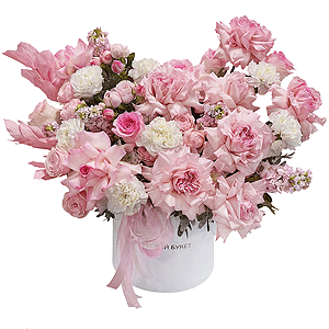 Pink Bliss with delivery Novosibirsk