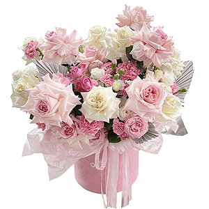 Lace of Tenderness with delivery Novosibirsk