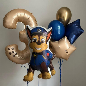 Set of balls "Go Hound" with delivery Novosibirsk