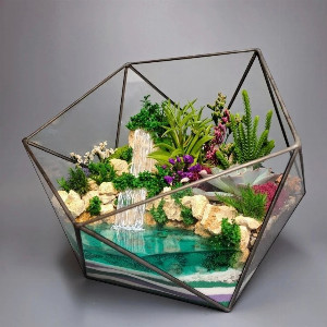 Dream Island Terrarium with delivery Novosibirsk