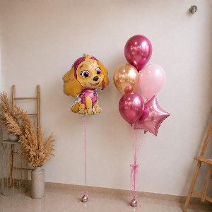 Set "Paw Patrol" with Skye with delivery Novosibirsk