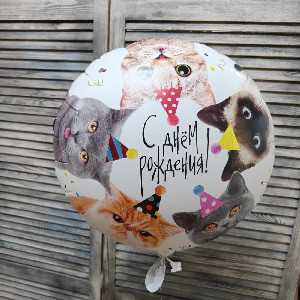 Balloon "Cat Celebration" with delivery Novosibirsk