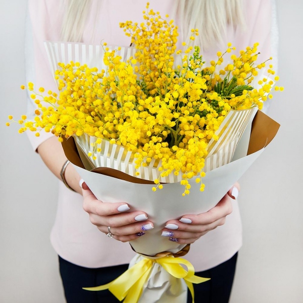 Mimosa - 7, Wrapping Paper, Ribbon