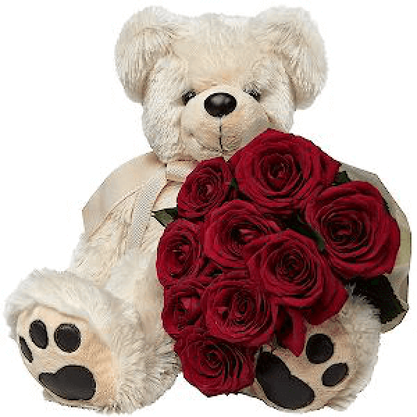 Lovely Teddy Bear