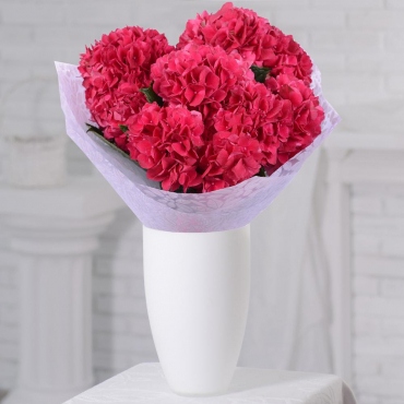 Hydrangea - 3, Wrapping Paper, Ribbon