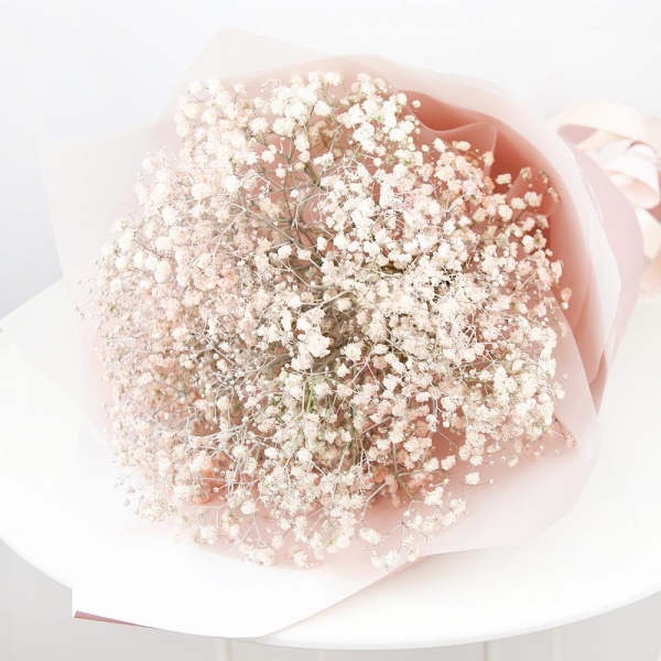 Colored gypsophila - 11, Wrapping Paper, Ribbon