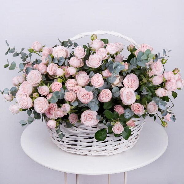 Peony sprayrose - 52, Large Basket, Oasis, Eucalyptus Cinerea