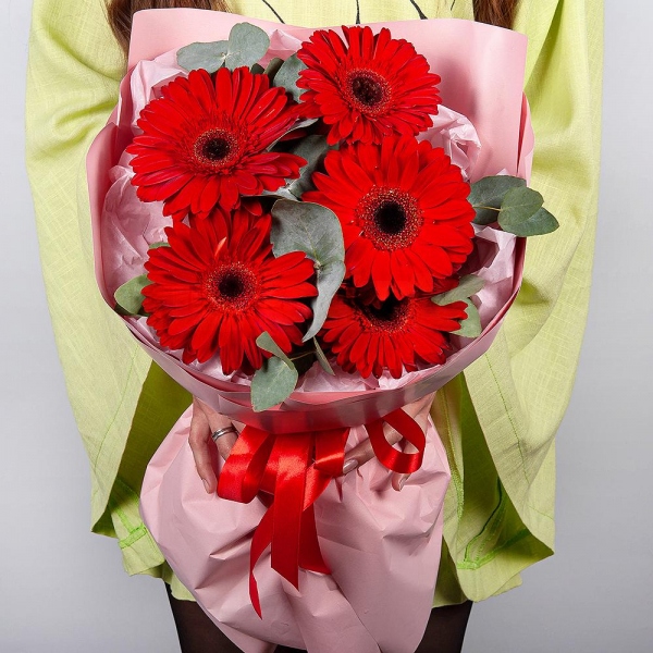 Gerbera red - 9, Eucalyptus, Wrapping Paper